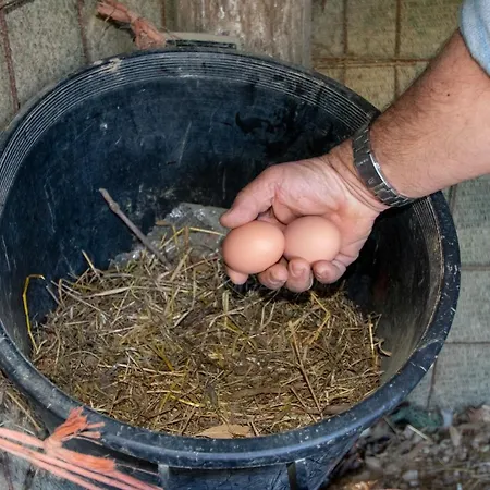 בית נופש Loukas *