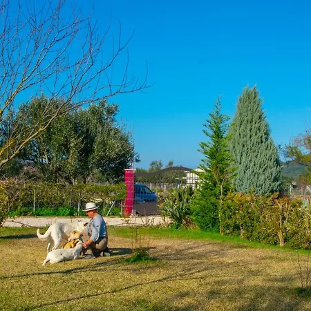 Holiday home Loukas